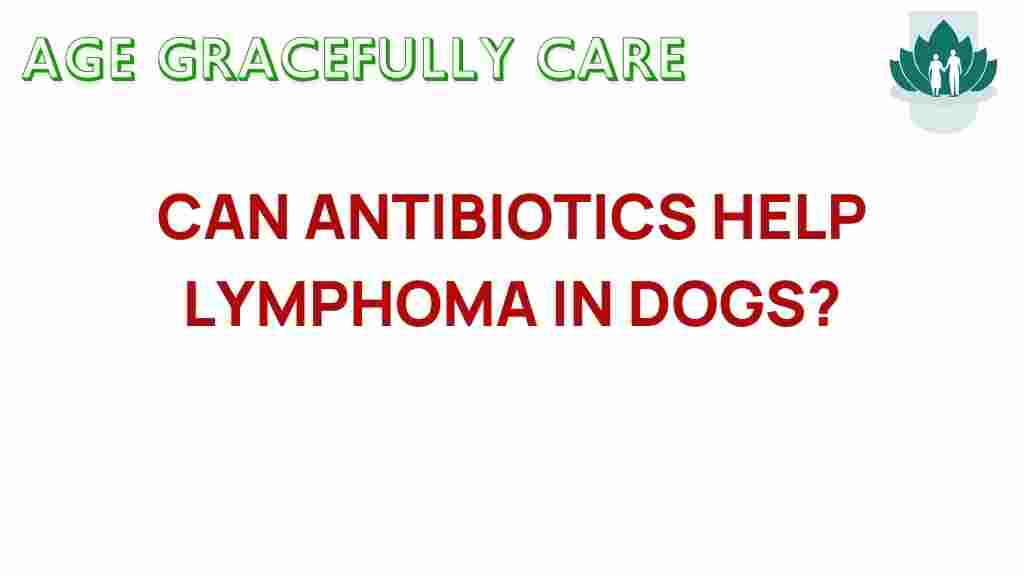 antibiotics-help-dogs-lymphoma
