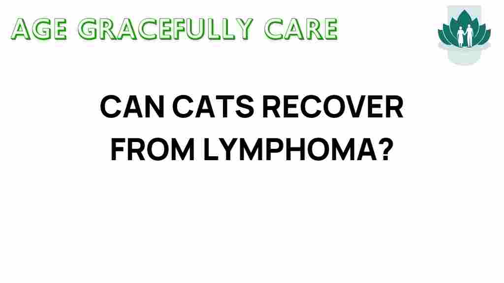 can-cats-recover-from-lymphoma
