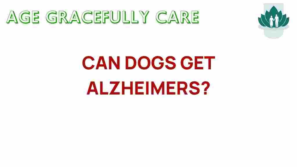can-dogs-get-alzheimers