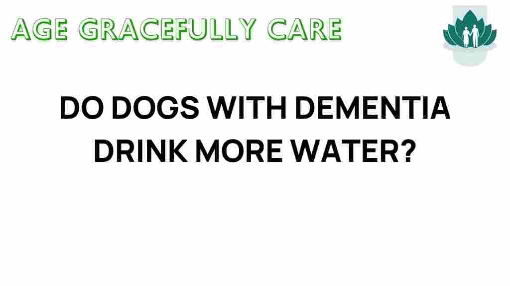dogs-with-dementia-drink-more-water