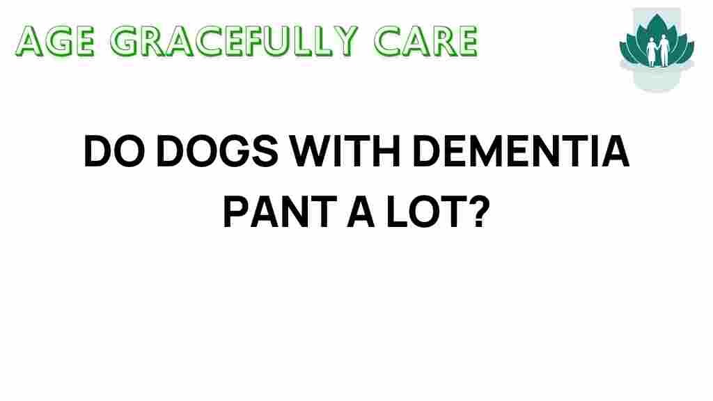 dogs-dementia-panting-excessively