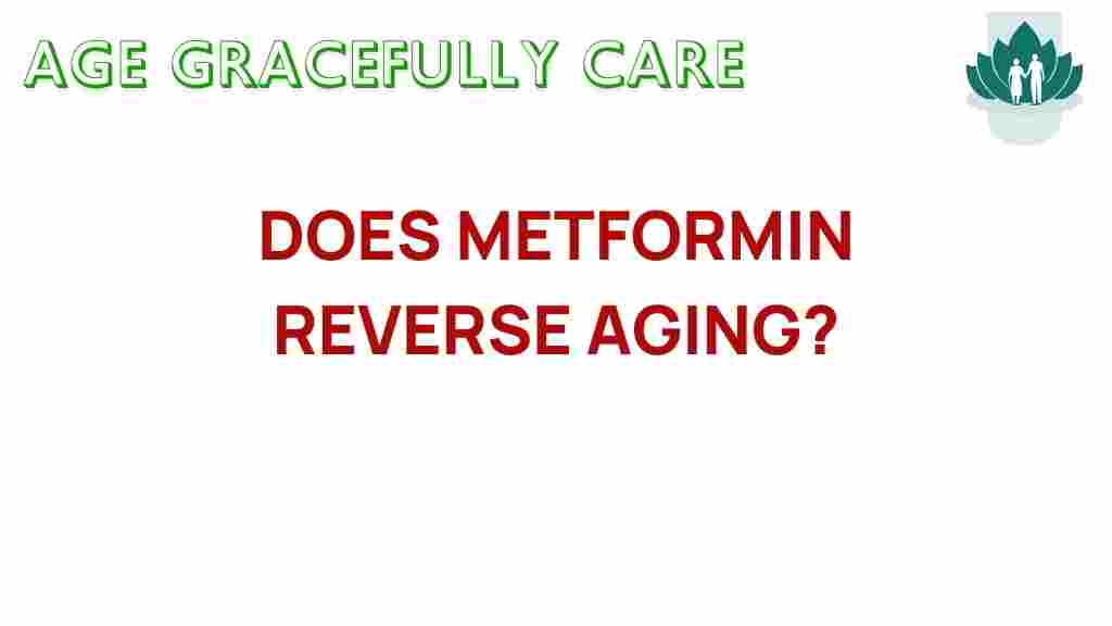 metformin-reverse-aging