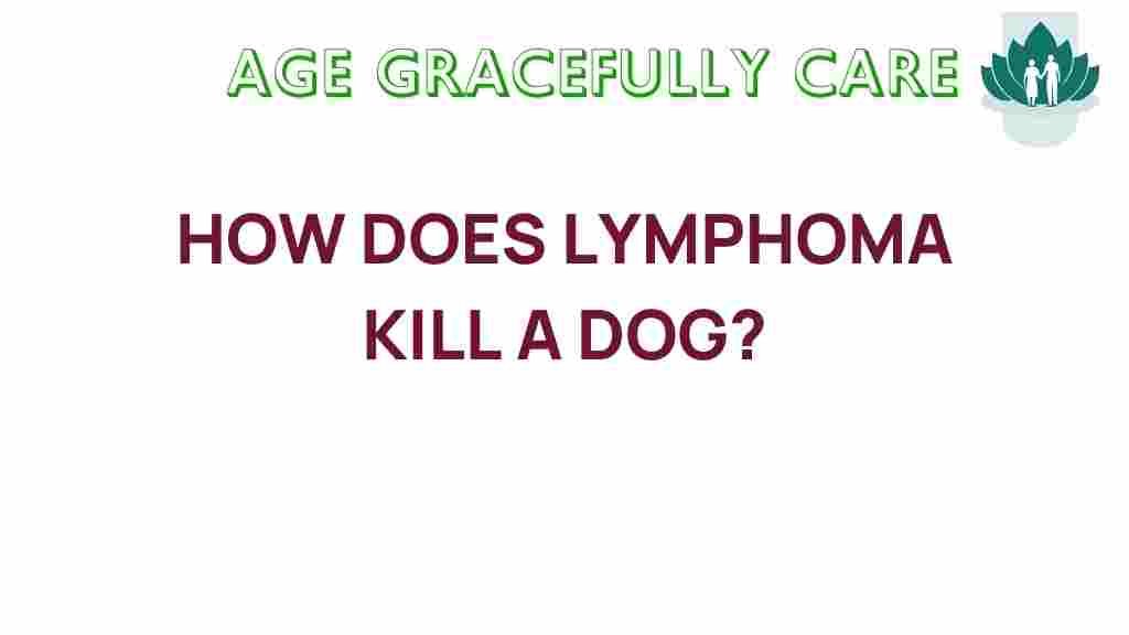 lymphoma-impact-on-dogs