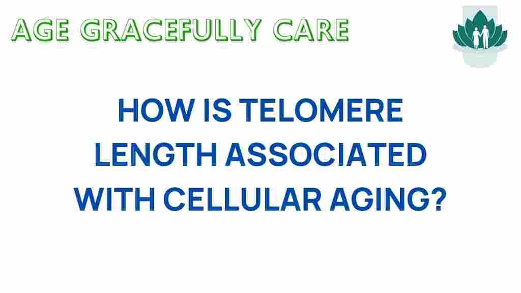 telomere-length-cellular-aging