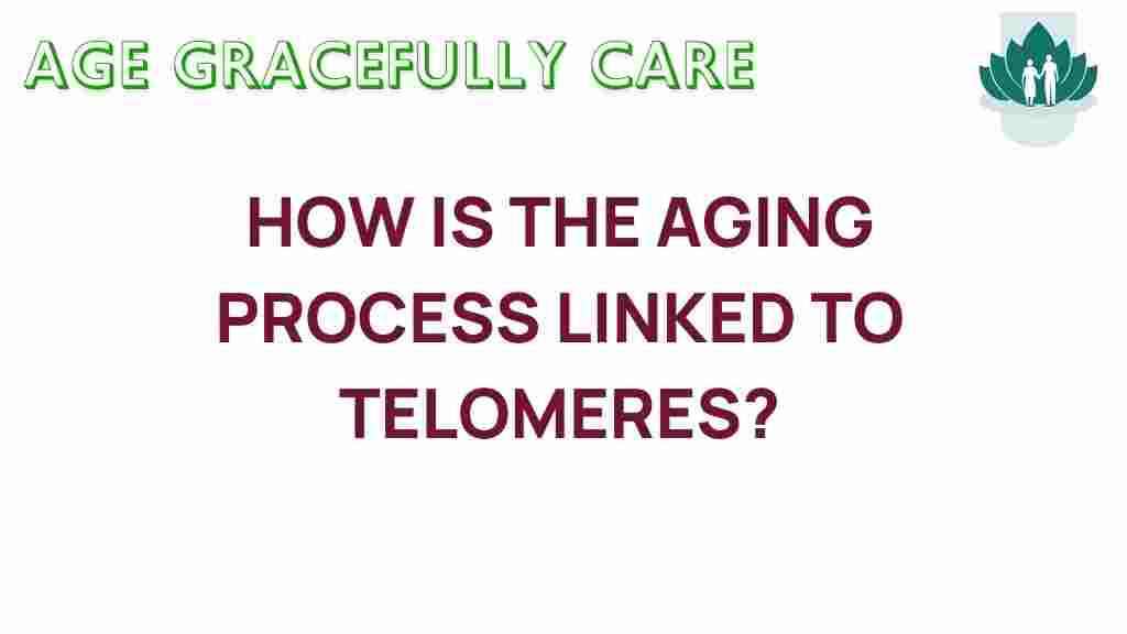 aging-telomeres-role