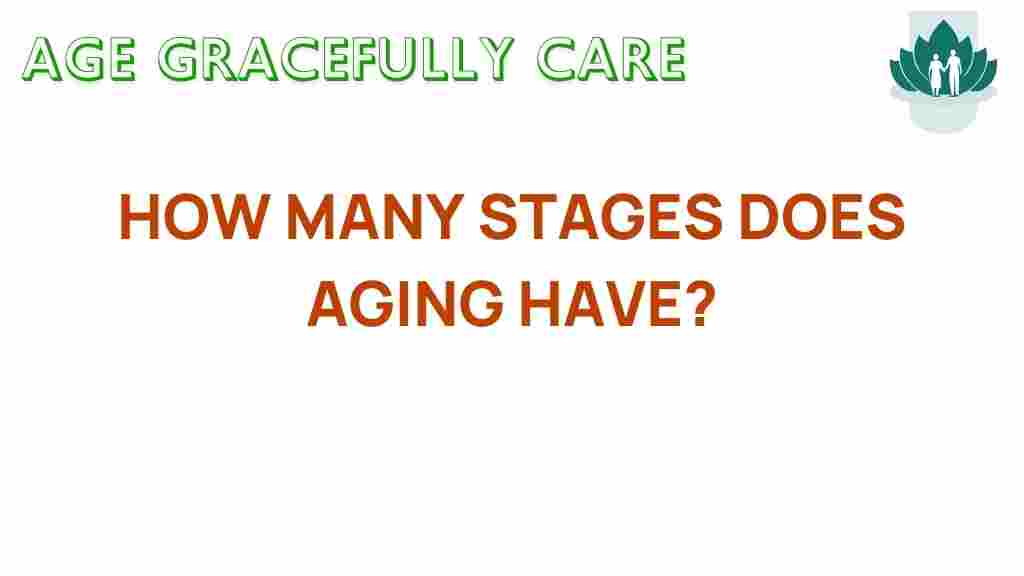 aging-stages-discovery