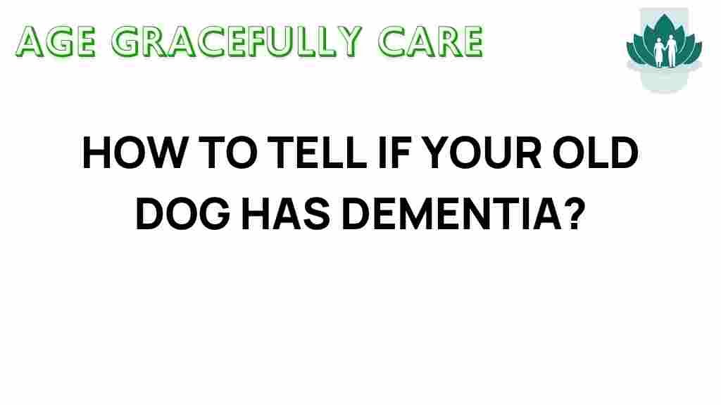 dog-dementia-signs