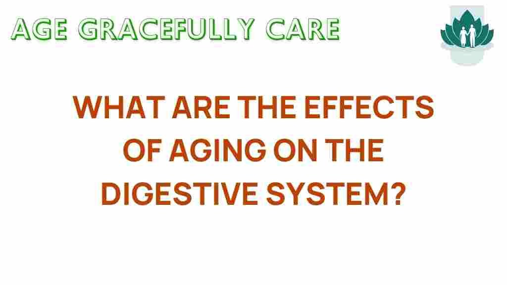 aging-digestive-system-effects