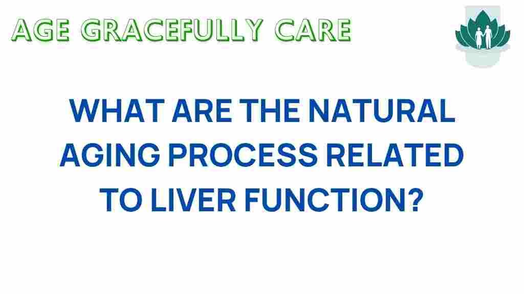 liver-function-aging-process