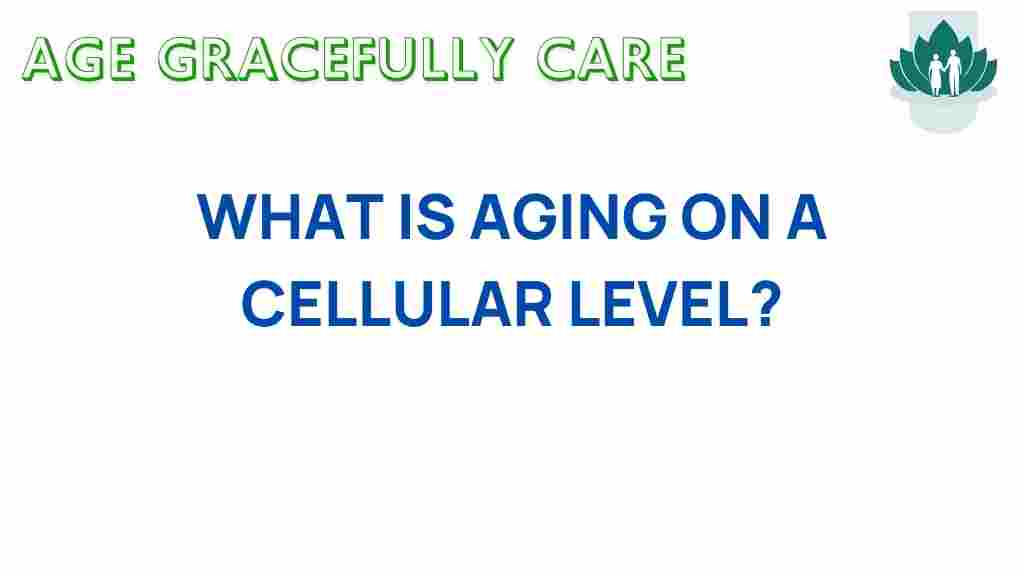 cellular-aging-secrets