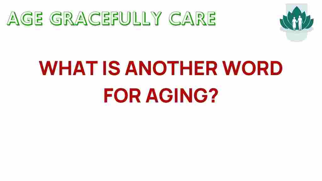 aging-synonyms-perspectives