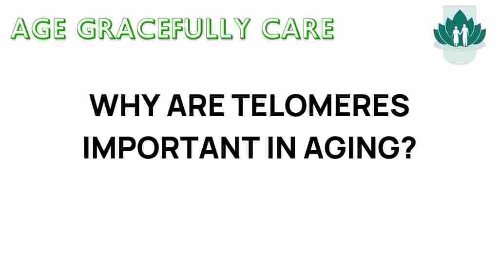 telomeres-importance-aging