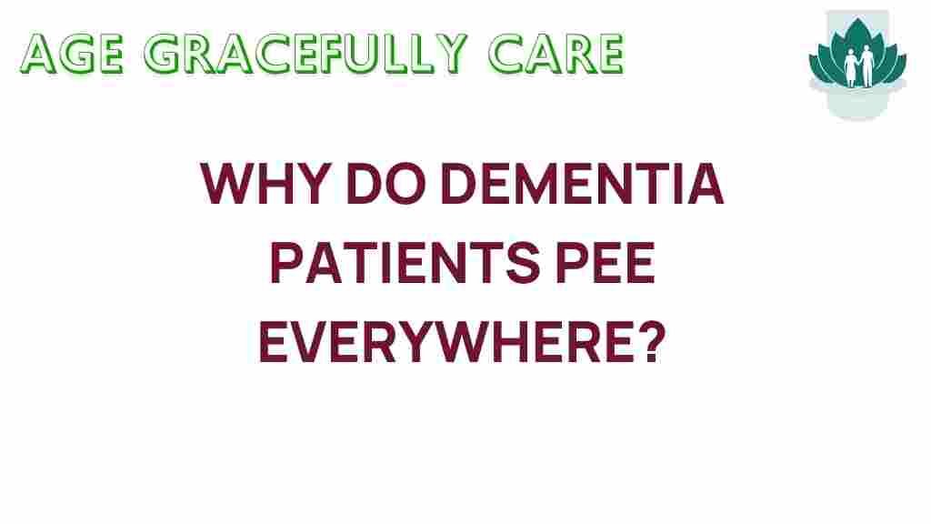 dementia-incontinence-explained